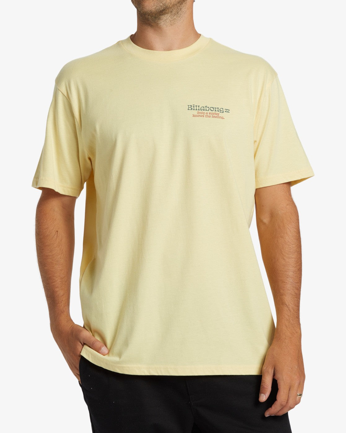 Tee shirt Twin fins Billabong
