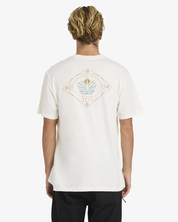 Tee shirt Agave Billabong
