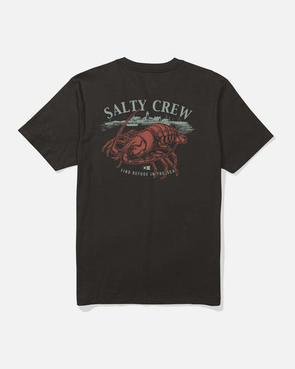 Tee shirt Shelled Salty Crew