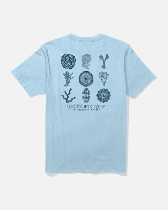 Tee shirt Coral head Salty Crew