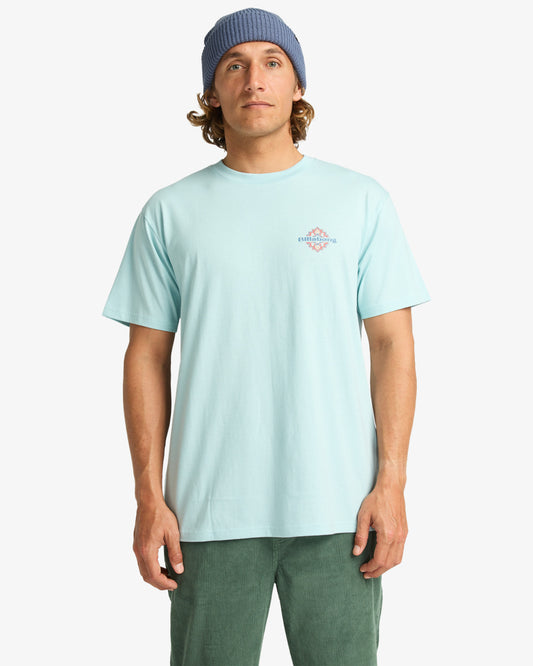 Tee shirt segment Billabong