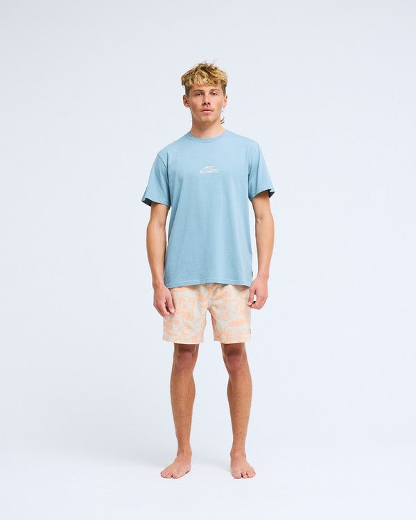 Tee shirt Ty williams Droppin Billabong